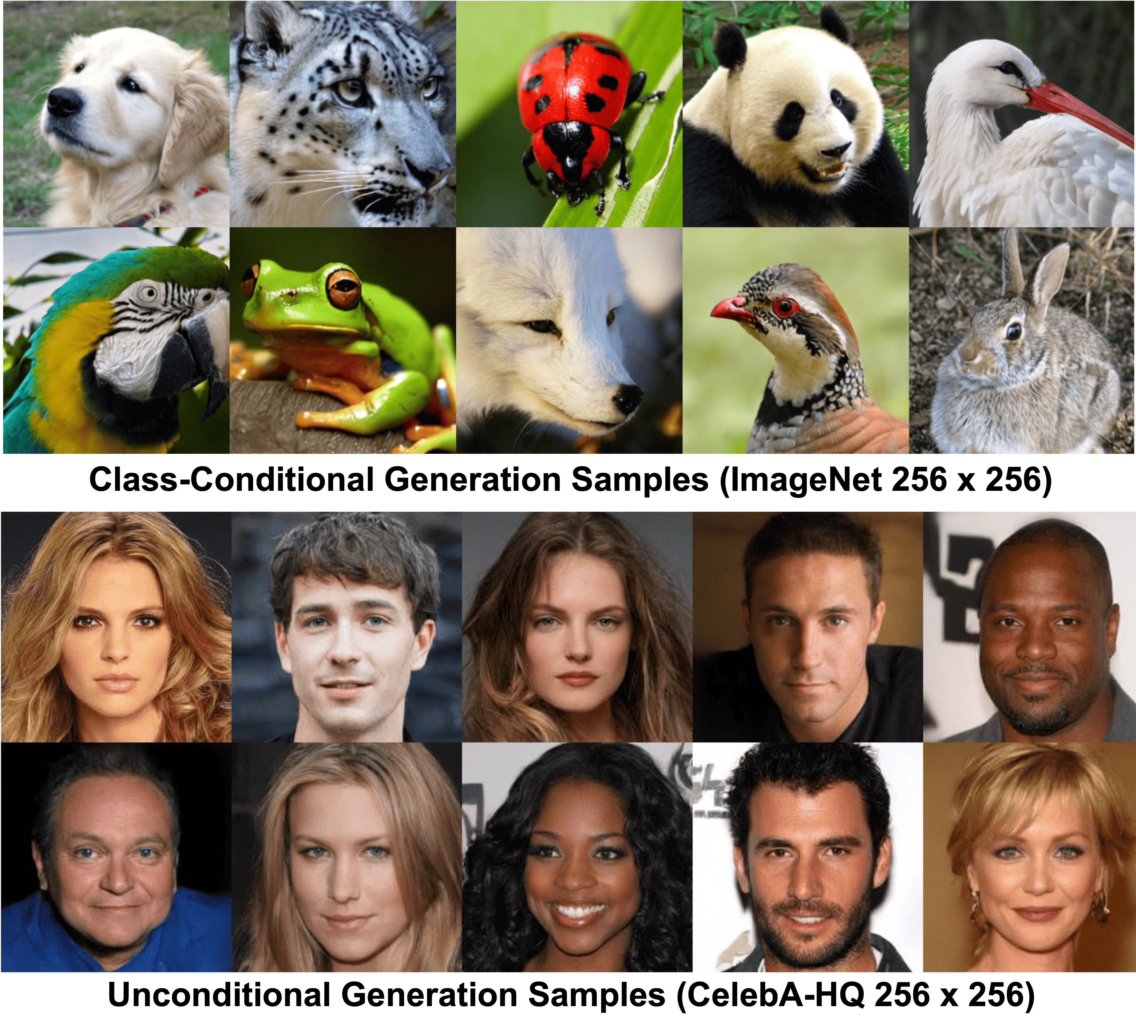 LDMAE Generation Samples